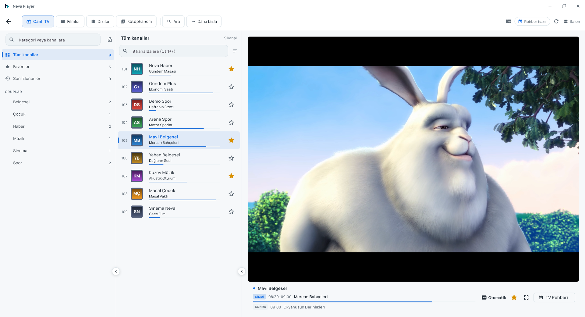 Neva Windows sürümü: kategoriler, kanal listesi, yayın akışı ve önizleme